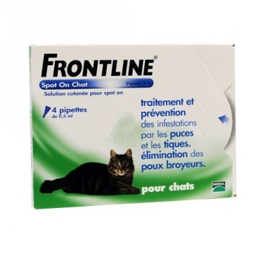 FRONTLINE CHAT FRONTLINE CHAT