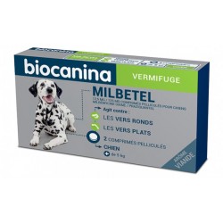 MILBETEL 12,5 mg/125 mg  chiens bte / 2 cp