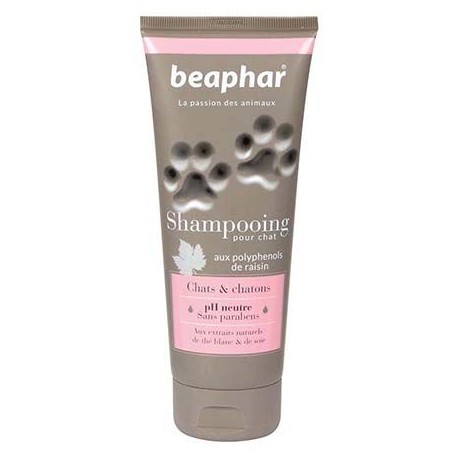 Shampooing pour chats et chatons Shampooing pour chats et chatons