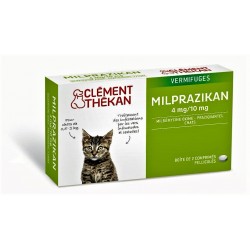 MILPRAZIKAN chatons / chats