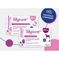 SILYCURE  comprimés à 40 mg...