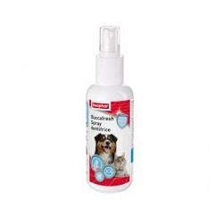 BUCCAFRESH spray dentifrice...