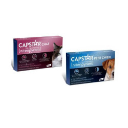 CAPSTAR 11,4 MG boite / 6...