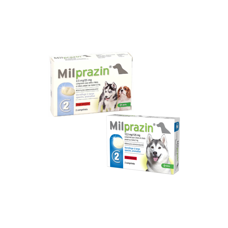 Milprazin vermifuge comprimé chien & chiot + de 5 kg