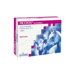 FICOSYL AMPOULES    b/6*5 ml