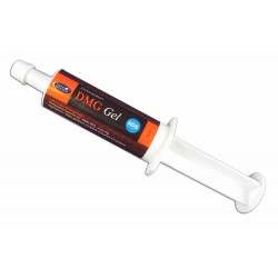 DMG SERINGUE ser/60 ml pate or