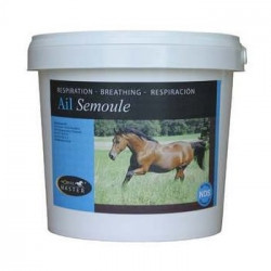 AIL SEMOULE  en seau de 1kg...