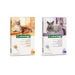 ADVANTAGE 40 CHAT (0-4 KG)     blist/4   sol ext