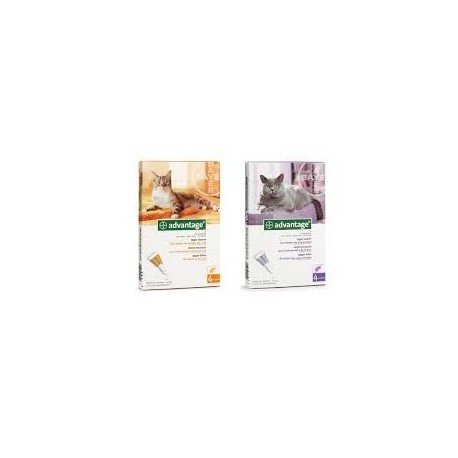 ADVANTAGE 40 CHAT (0-4 KG)     blist/4   sol ext