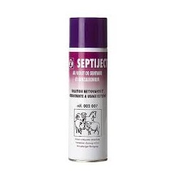 BOMBE ANTISEP SEPTIJECT        450 ml    (002007)