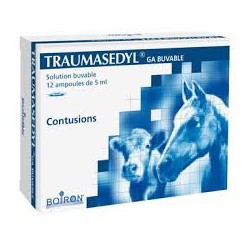 TRAUMASEDYL GA AMP             b/12*5 ml sol buv