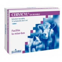 CERVICYL AMP                   b/12*5 ml sol buv