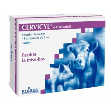CERVICYL AMP b/12*5 ml sol buv CERVICYL AMP b/12*5 ml sol buv