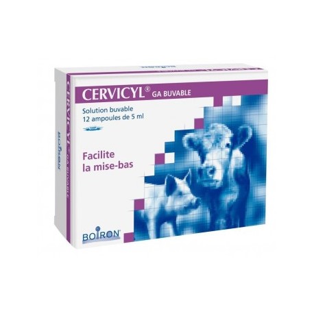CERVICYL AMP b/12*5 ml sol buv CERVICYL AMP b/12*5 ml sol buv