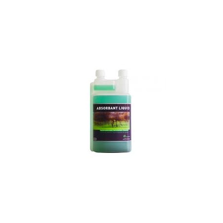 ABSORBANT LIQUID   en 500 ml ou 1 l