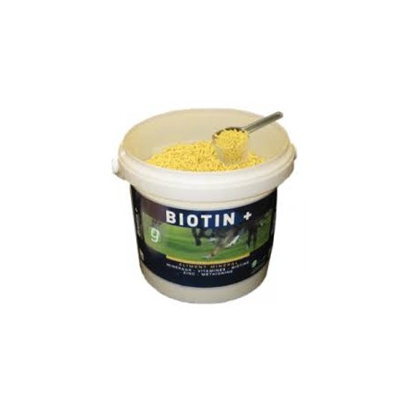 BIOTIN +                       b/1,4 kg  pdr or