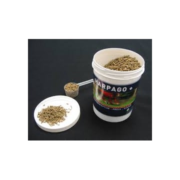 HARPAGO + pot de 500 g ou 4 kg HARPAGO + pot de 500 g ou 4 kg