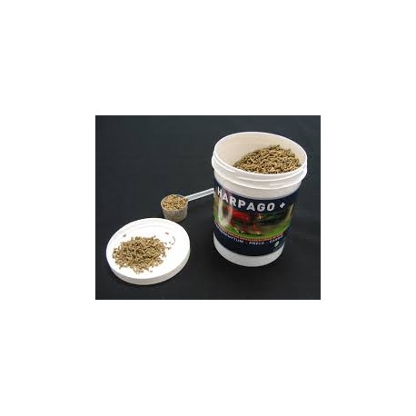 HARPAGO + pot de 500 g, 1.5 ou 4 kg HARPAGO + pot de 500 g, 1.5 ou 4 kg