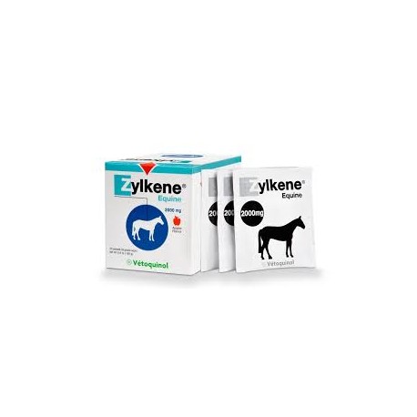ZYLKENE EQUINE b/20*4 g pdr or ZYLKENE EQUINE b/20*4 g pdr or