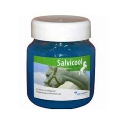 SALVICOOL GEL DETENTE          pot/700 g gel ext