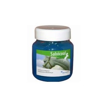 SALVICOOL GEL DETENTE pot/700 g gel ext SALVICOOL GEL DETENTE pot/700 g gel ext