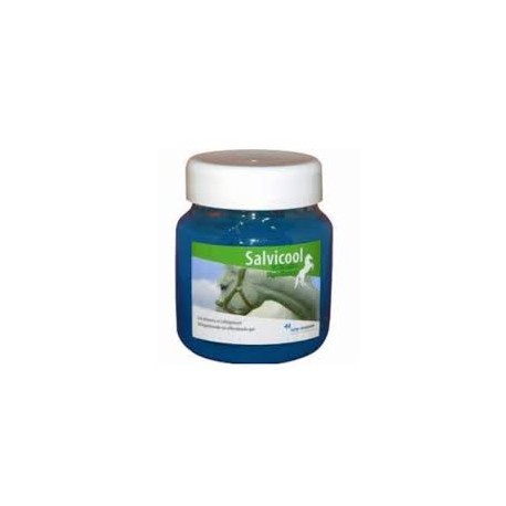 SALVICOOL GEL DETENTE pot/700 g gel ext SALVICOOL GEL DETENTE pot/700 g gel ext