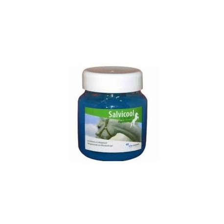 SALVICOOL GEL DETENTE          pot/700 g gel ext