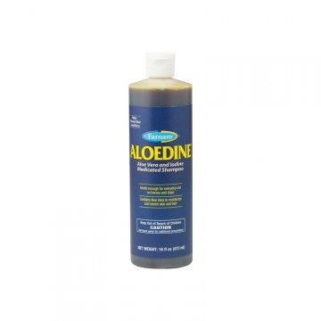 ALOEDINE SHAMPOOING fl/473 ml sol ext ALOEDINE SHAMPOOING fl/473 ml sol ext