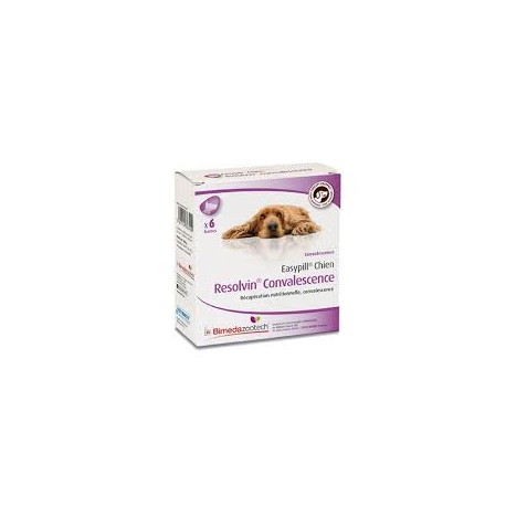 EASYPILL CHIEN RESOLVIN CONVAL b/6*28 g barres