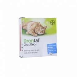 Drontal Chat Duo