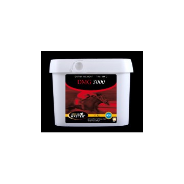 DMG 3000 pot / 1,3 kg pdr or DMG 3000 pot / 1,3 kg pdr or