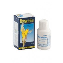 FLORACHOLINE  solution buvable en flacon de 60 ml et 500 ml