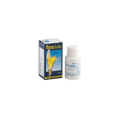 FLORACHOLINE  solution buvable en flacon de 60 ml et 500 ml