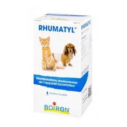 Rhumatyl (ex pvb rhumatismes) fl 30 ml