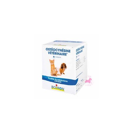 OSTEOCYNESINE VETERINAIRE b100 cp