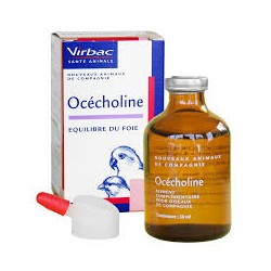OCECHOLINE                     fl/50 ml  sol buv