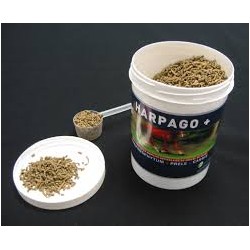 HARPAGO +  SEAU DE 1.5  KG