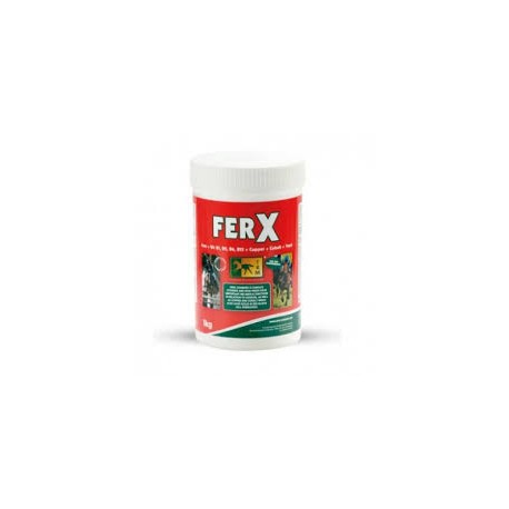 FER X 2000 boite de 1 kg FER X 2000 boite de 1 kg