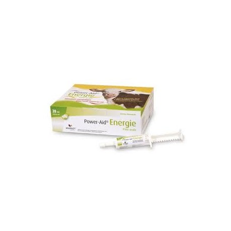 Power-AID ENERGIE pâte orale 12 seringues 20 ml Power-AID ENERGIE pâte orale 12 seringues 20 ml