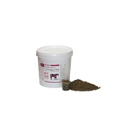 QUALIPRO BHP seau/10kg grles QUALIPRO BHP seau/10kg grles