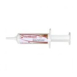 FORTIBOOST POULAIN seringue de 20 ml