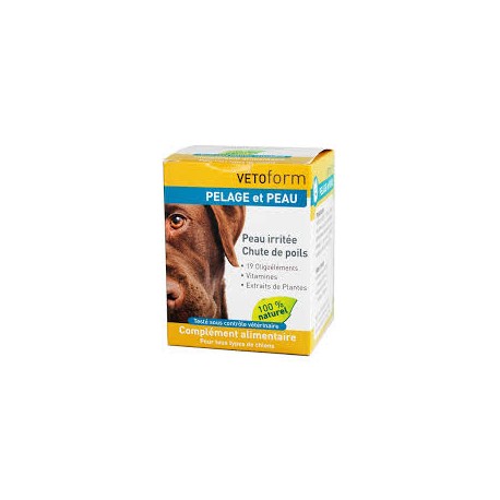 VETOFORM CHIEN PELAGE ET PEAU  b/100 g   pdr or