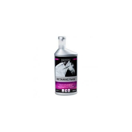 EQUISTRO BETAMAG FORTE fl/1 l sol buv EQUISTRO BETAMAG FORTE fl/1 l sol buv