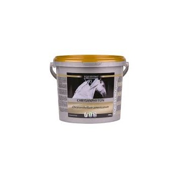 EQUISTRO CHRYSANPHYTON pot de 2 kg EQUISTRO CHRYSANPHYTON pot de 2 kg