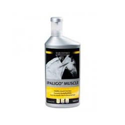 EQUISTRO IPALIGO MUSCLE flacon de 1 litre