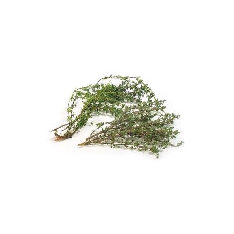 THYM FEUILLE laboratoire bonne seau/1 kg pdr or THYM FEUILLE laboratoire bonne seau/1 kg pdr or