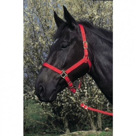 LICOL CHEVAL NYLON ROUGE      22 mm     (130090)