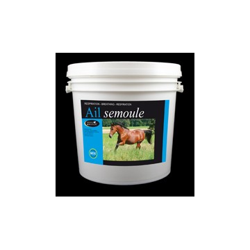 AIL SEMOULE en seau de 1kg , 5 kg , 10 kg AIL SEMOULE en seau de 1kg , 5 kg , 10 kg