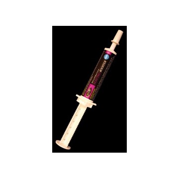 ELECTROBOOSTER pâte orale en seringue ELECTROBOOSTER pâte orale en seringue