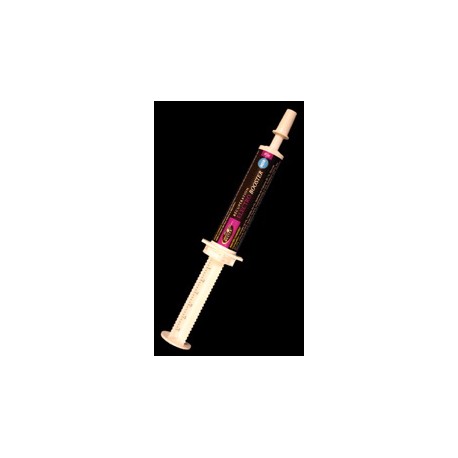 ELECTROBOOSTER pâte orale en seringue ELECTROBOOSTER pâte orale en seringue